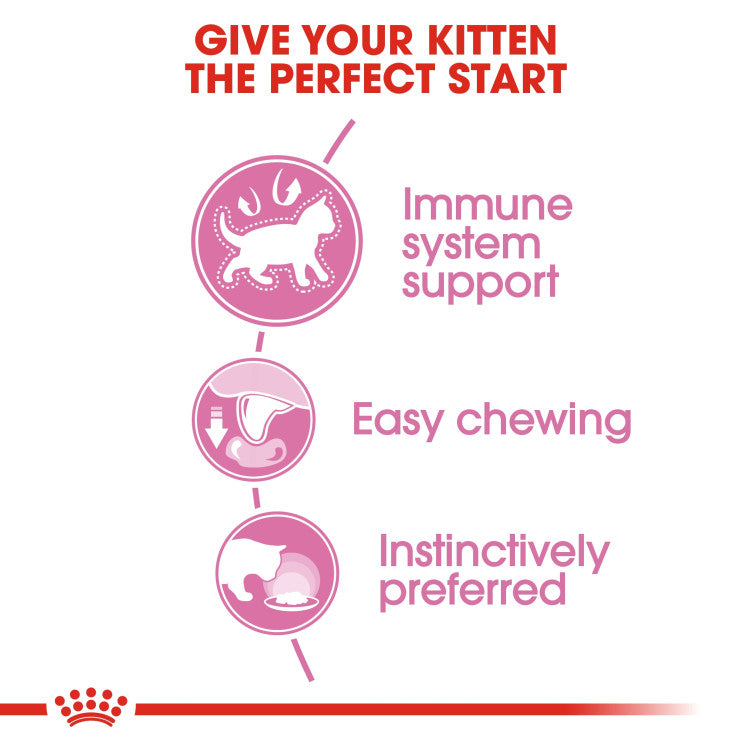 RC kitten jelly 1 piece 85g