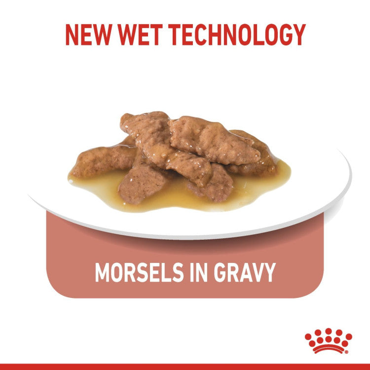 Feline Health Nutrition Indoor Gravy (Wet Food - Pouches) 12 x 85 g
