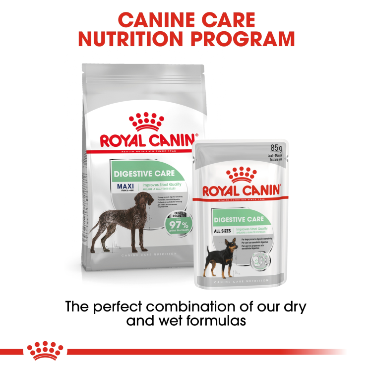 RC  Maxi Digestive Care dog dry food 12 kg