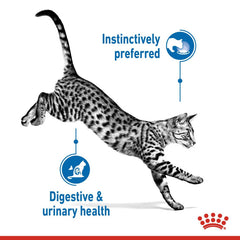 Feline Health Nutrition Indoor Jelly (Wet Food - Pouch)  85 g
