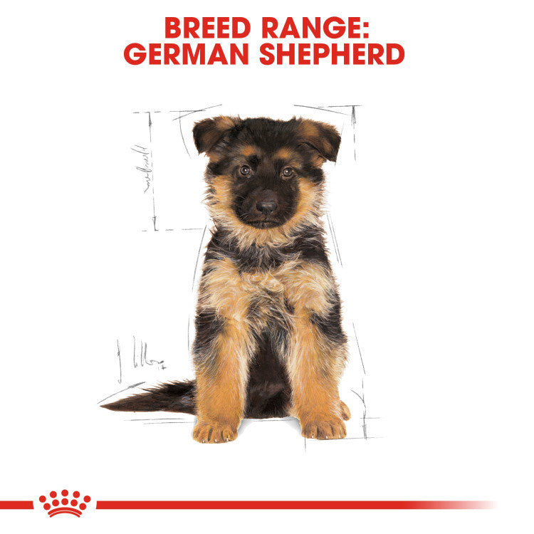 German Shepherd Puppy dry food 12 kg