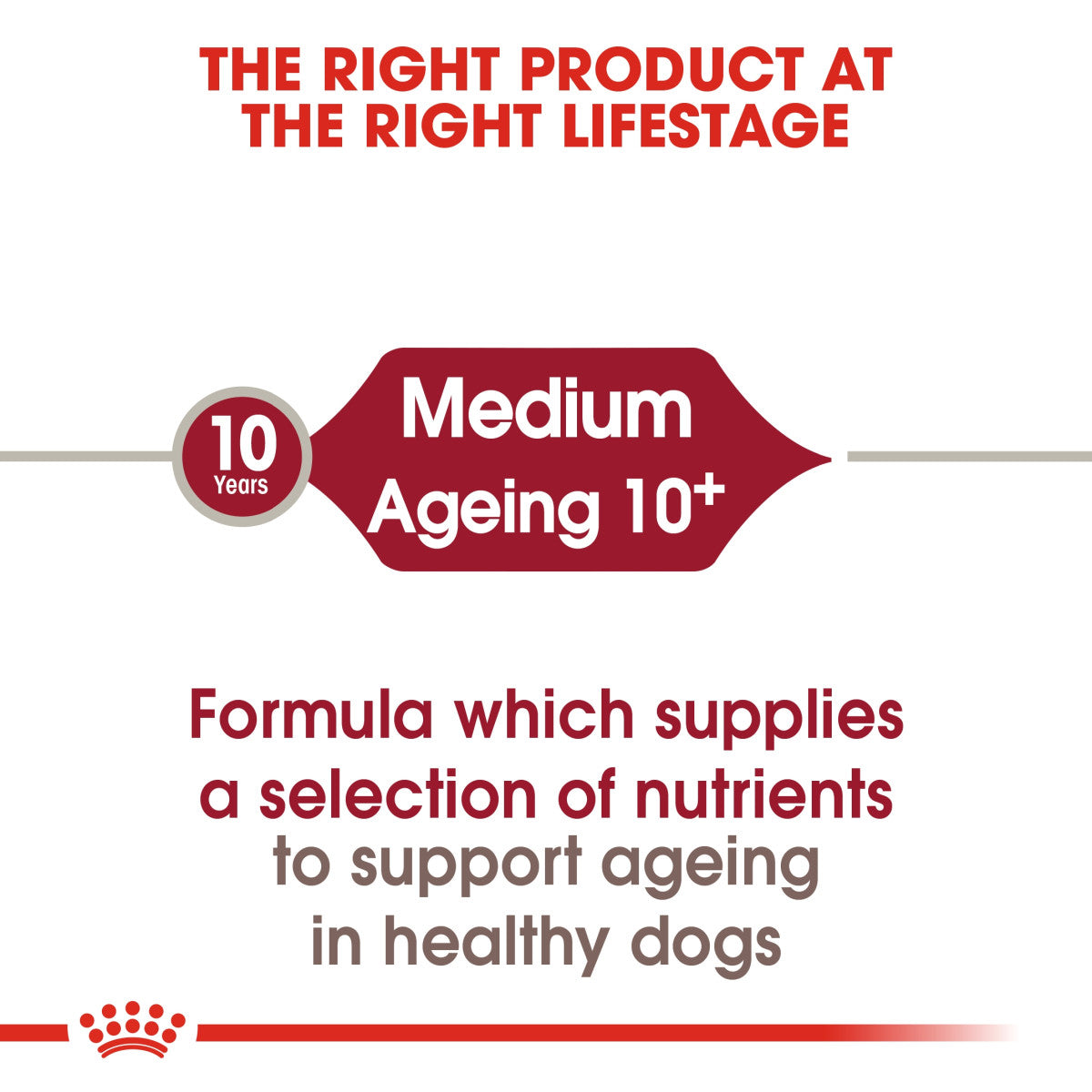 RC Medium Ageing 10+ dog dry food 3kg