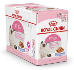 RC Kitten Jelly ( Wet food Pouches)