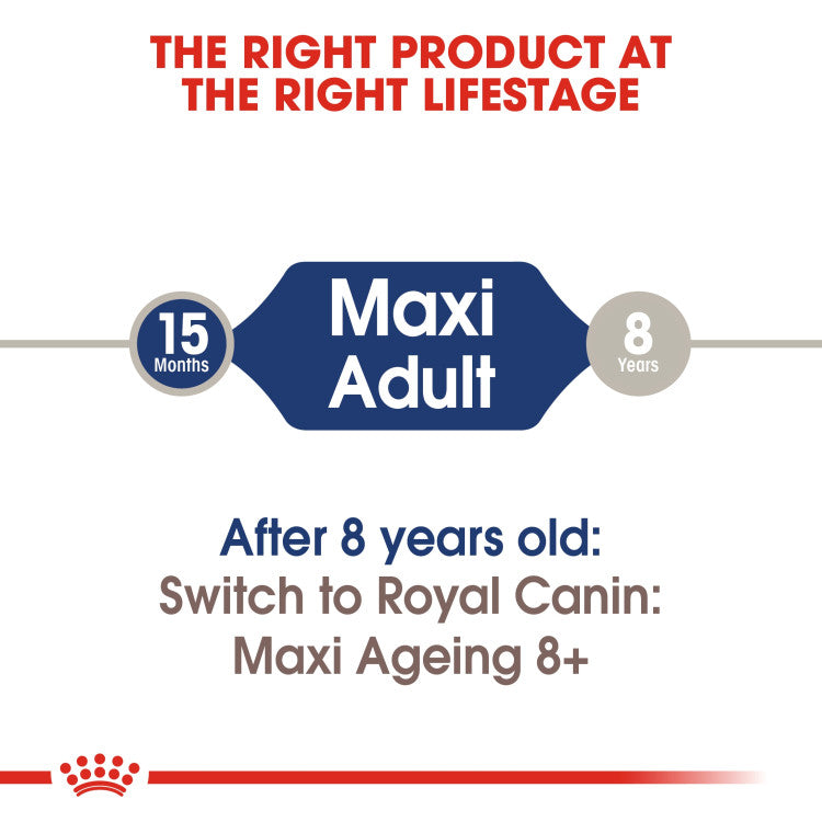 RC Maxi Adult Wet Food 1 piece 140g