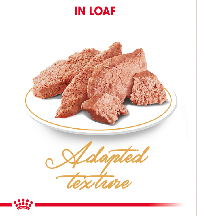 RC Persian Adult Gravy Wet Food 1 piece 85g