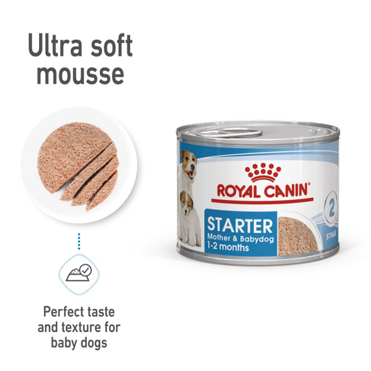RC Starter Mother&baby Dog Mousse Can 1pc