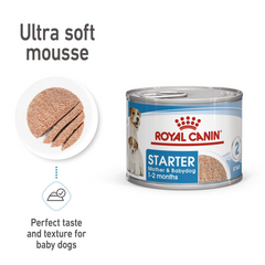 RC Starter Mother&baby Dog Mousse Can 1pc