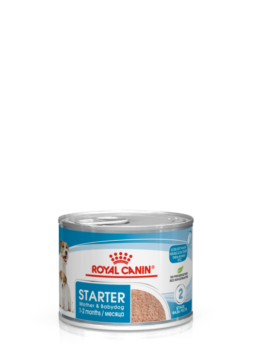 RC Starter Mother&baby Dog Mousse Can 1pc