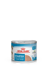 RC Starter Mother&baby Dog Mousse Can 1pc