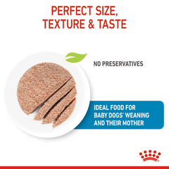RC Starter Mother&baby Dog Mousse Can 1pc