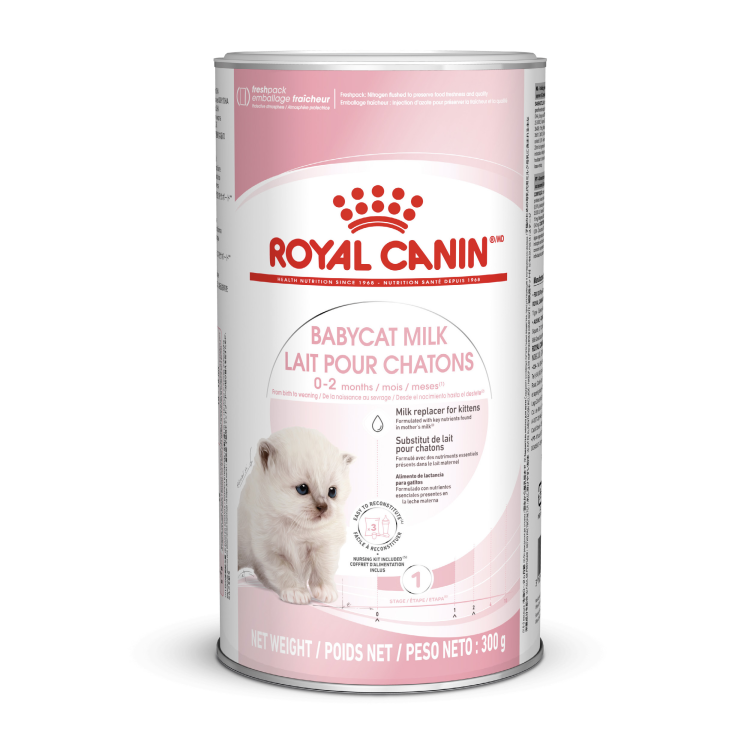 RC Baby cat milk 300gm