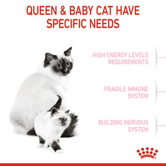 RC Mother & Babycat 10kg