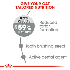 RC Dental Care Cat Food 1.5kg