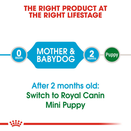 RC Starter Mother AND Baby Dog Mini 1Kg