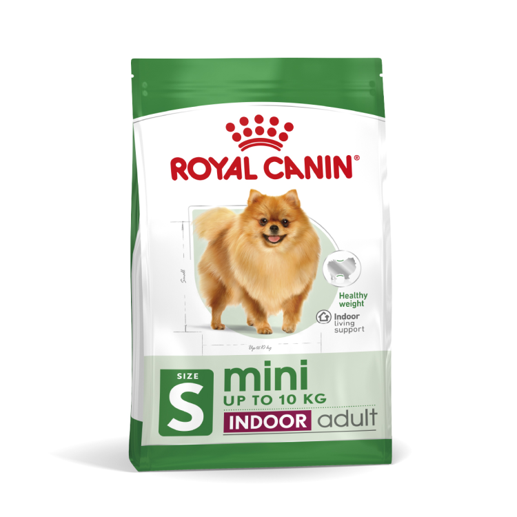 RC Mini Indoor Adult 1.5 kg