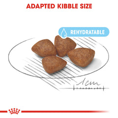 RC Starter Mother AND Baby Dog Mini 1Kg