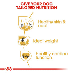 RC Cocker Adult dog dry foog 3 kg