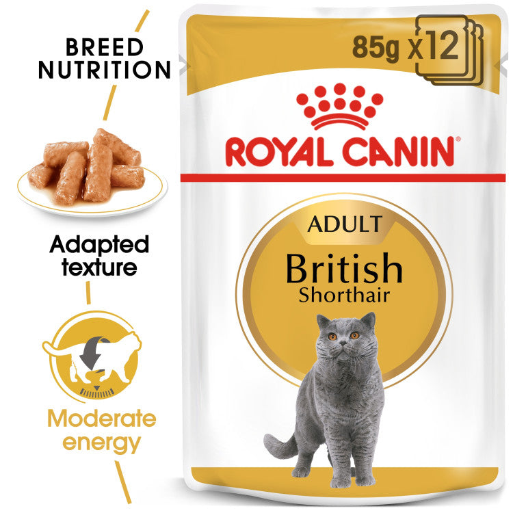 RC British Short hair Gravy 1 Piece 85g