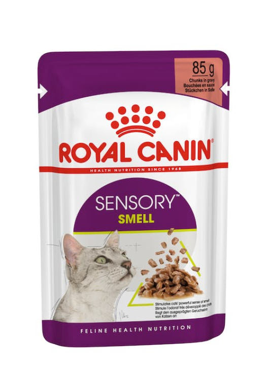 RC Sensory Smell Gravy