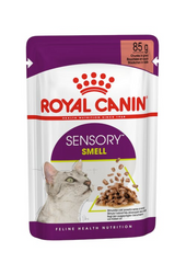 RC Sensory Smell Gravy