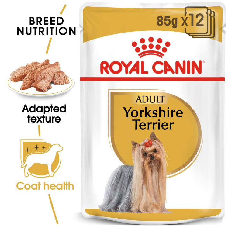 RC Yorkshire Terrier wet food 1p