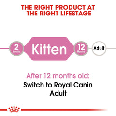 RC Kitten Jelly ( Wet food Pouches)