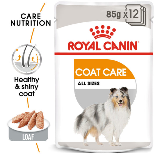 RC Coat care Gravy Dog 1 pc