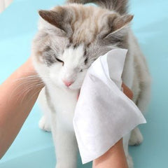 Meow Mates Pet Wipes (80+4pcs) - Unscented