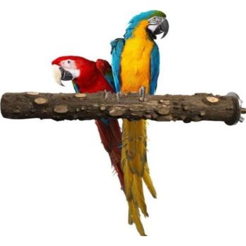 Saas Natural Wooden Bird Stick Toy 1371