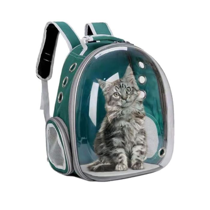 Petsclub Transparent Pet Carrier Bag - Green