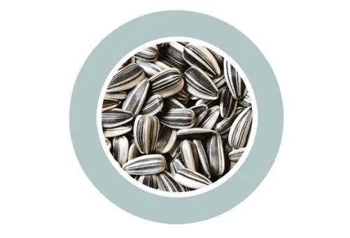 Padovan Sunseeds[Weight - 5kg, Size - M]