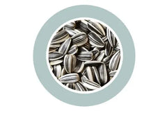 Padovan Sunseeds[Weight - 5kg, Size - M]