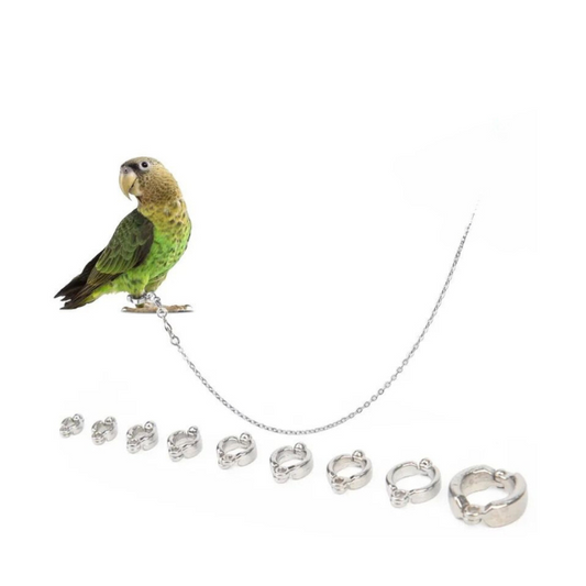 Saas Parrots Anti-Flying Foot Chain 100cm Long size #6 SA3368