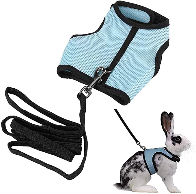Small Animal Harness Set (Medium) 5280690