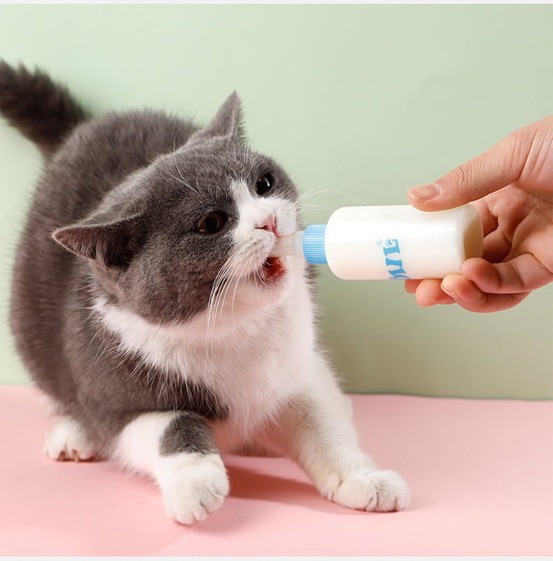 Pet Nursing Feeding Bottle Pet Milk Feeder With Replace Nipples And Brush – 60 ML