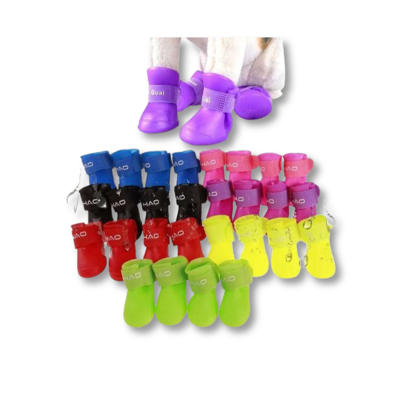 SAAS PET SHOES L