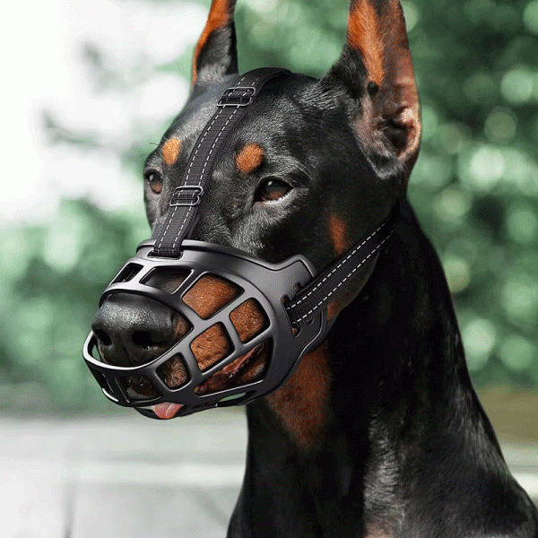 Saas Dog Muzzle XXXL