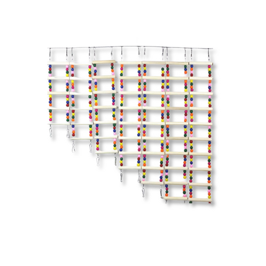 Saas Parrot Ladder 75cm