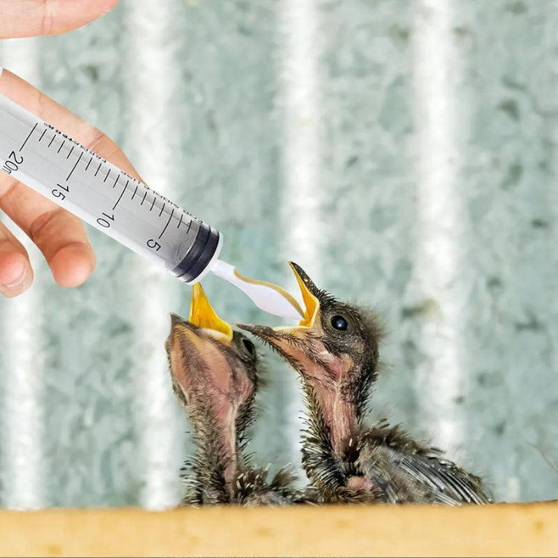 SAAS Bird Syringe Feeder Kit 4pcs Kit-20ml