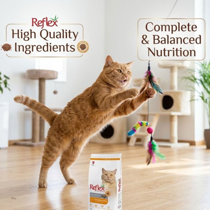 Reflex Adult Cat Food Chicken 2kg