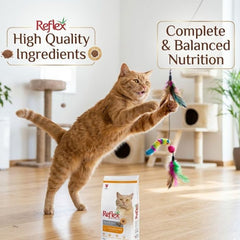 Reflex Adult Cat Food Chicken 2kg