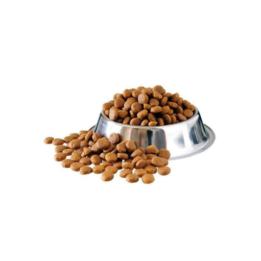 Reflex Adult Cat Food Chicken 2kg