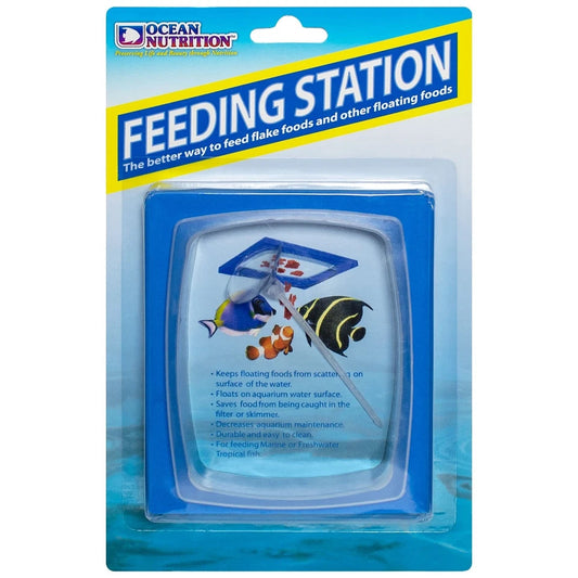Feeding Station Fish