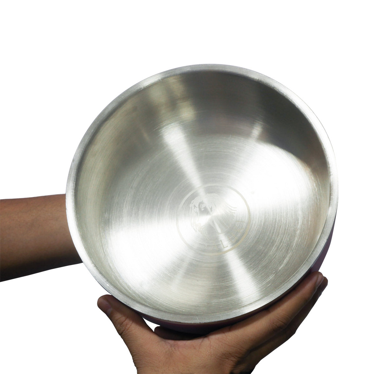 Saluki Stainless Steel Double Wall Dog Bowls - Peach, 350 ML