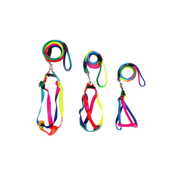 Rainbow Color Harness & Leash SA07