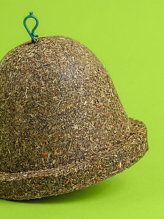 Tasty Blue Bell rabit & hamsters