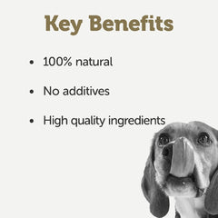 Applaws Taste Topper in Broth Chicken Dog Tin 156g