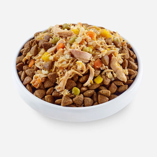 Applaws Topper in Broth Chicken with Veg Dog Tin 156g