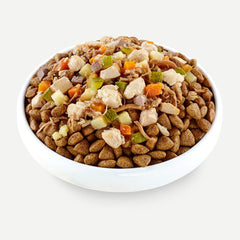 Applaws Taste Toppers Stew Chicken with Lamb & Vegetables Wet Dog Food 156g Tin
