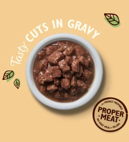 Lily's Kitchen Tasty Cuts in Gravy for Kittens Multipack 8X85G